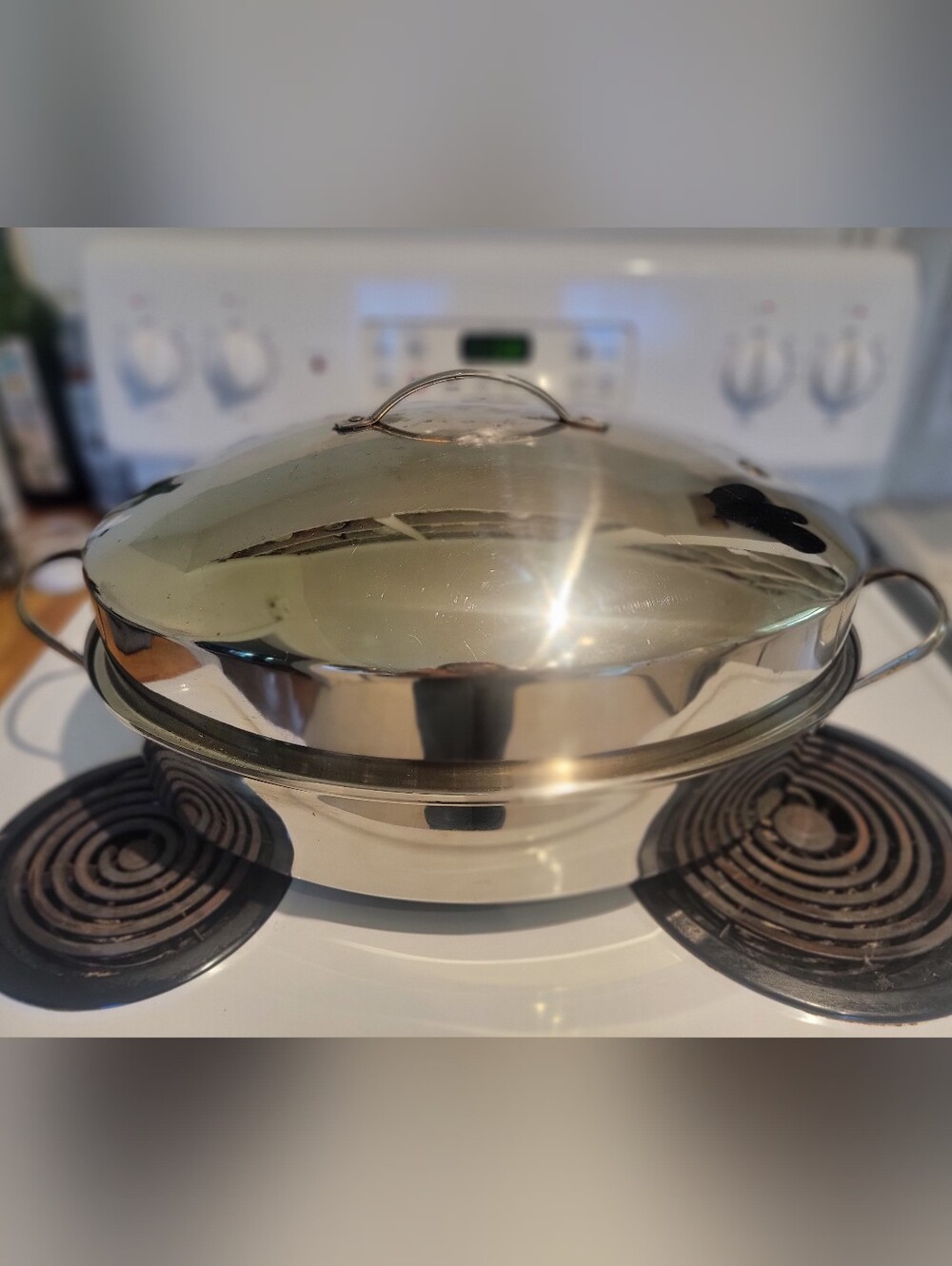 Stainless Steel Covered Roasting Pan - Silver